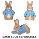 Beatrix Potter Petter Rabbit Classic Plush Toy-1