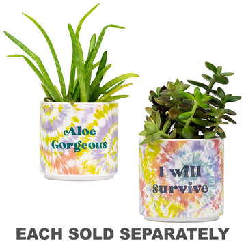Tie Dye Planter (Small)