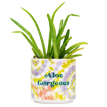 Tie Dye Planter (Small) - 0