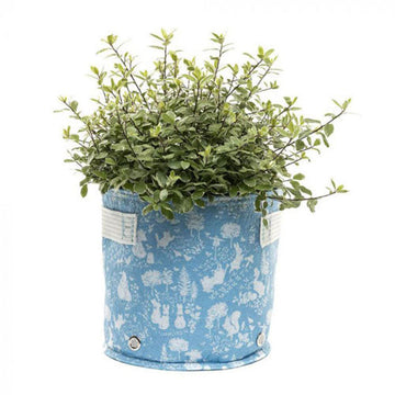 Beatrix Potter Fabric Eco-Pot (Blue) - 0