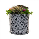 Mickey & Minnie Mouse Fabric Eco-Pot (Small)-2