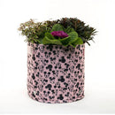 Mickey & Minnie Mouse Fabric Eco-Pot (Small)-3