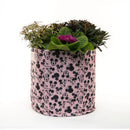 Mickey & Minnie Mouse Fabric Eco-Pot (Small)-5