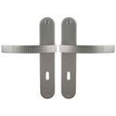 2 poignées de porte sur plaque AUDACE, Entrée de clé pour chambre, Finition aluminium nickel mat, Entraxe standard 195 mm