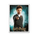 Dragon Shield Matte Art Sleeves Box of 100-4