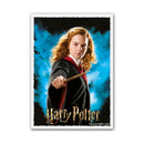 Dragon Shield Matte Art Sleeves Box of 100-5