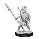 D&D Frameworks Miniature Model Kit-13