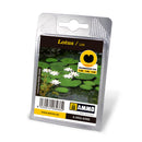 Ammo by MIG Laser Cut Plants-5