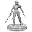 D&D Nolzurs Marvelous Elf Rogue Miniature-2