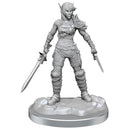 D&D Nolzurs Marvelous Elf Rogue Miniature-5