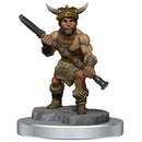 D&D Nolzurs Marvelous Miniature-5