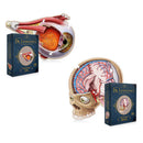 Dr. Livingston's Anatomy Jigsaw Puzzle-3