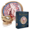 Dr. Livingston's Anatomy Jigsaw Puzzle-4