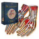Dr. Livingston's Anatomy Jigsaw Puzzle-7