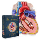 Dr. Livingston's Anatomy Jigsaw Puzzle-8