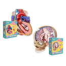 Dr. Livingston Jr. Kids Puzzle-2
