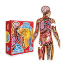 Dr. Livingston Jr. Kids Puzzle-3