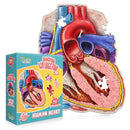 Dr. Livingston Jr. Kids Puzzle-5
