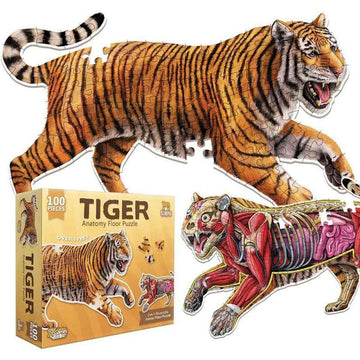 Anatomy Floor Puzzle