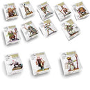 AK Interactive Fantasia Latorre Figure (35mm)