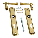 2 poignées de porte ATTILA, Trou de cylindre - entrée - bureau - service, Finition laiton poli doré, Entraxe standard 195 mm