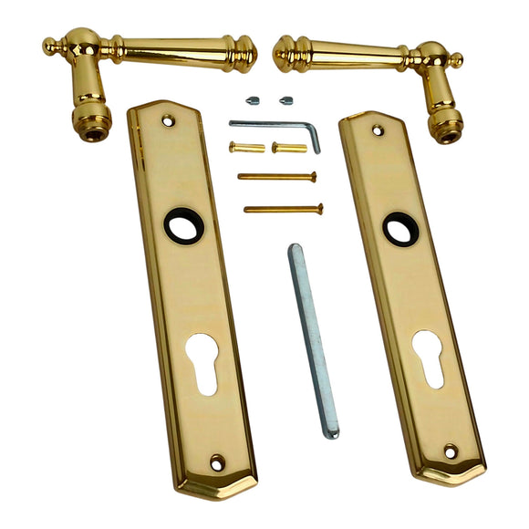 2 poignées de porte ATTILA, Trou de cylindre - entrée - bureau - service, Finition laiton poli doré, Entraxe standard 195 mm