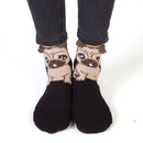 Feet Speak Socks-50