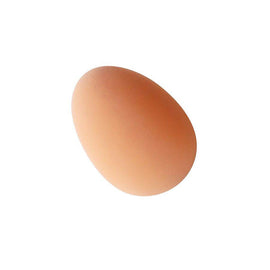 Bouncing Egg