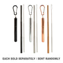 Eco-to-Go Extendable Straw & Brush Travel Kit-1