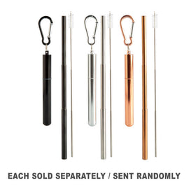 Eco-to-Go Extendable Straw & Brush Travel Kit