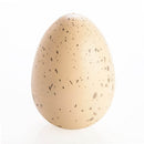 Jumbo Grow Egg-6