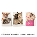Lil' Note Pals Scented Sticky Note-1