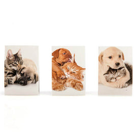 Lil' Note Pals Scented Sticky Note - 0