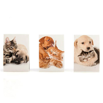 Lil' Note Pals Scented Sticky Note - 0