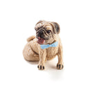 Grow a Pug-1