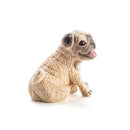 Grow a Pug-2