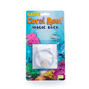 Grow Magic Rock-4
