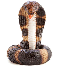 Snake Backflow Burner - 0