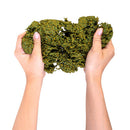 Eco-Friendly Squishy Foam Toy (1pc Random)-2
