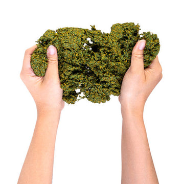 Eco-Friendly Squishy Foam Toy (1pc Random) - 0