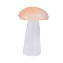 Selenite Mushroom Crystal Wellness Stone-2