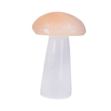 Selenite Mushroom Crystal Wellness Stone - 0