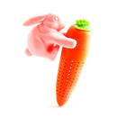 Novelty Tea Infuser-16