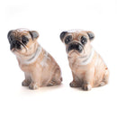 Pug Salt & Pepper Set-1