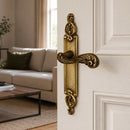 2 poignées de porte sur plaque SULLY, Sans trou pour pièce à vivre, Finition laiton patiné aspect vieilli, Entraxe standard 195 mm