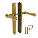 2 poignées de porte LUXOR, Sans trou pour pièce à vivre, Finition laiton poli doré, Entraxe standard 195 mm
