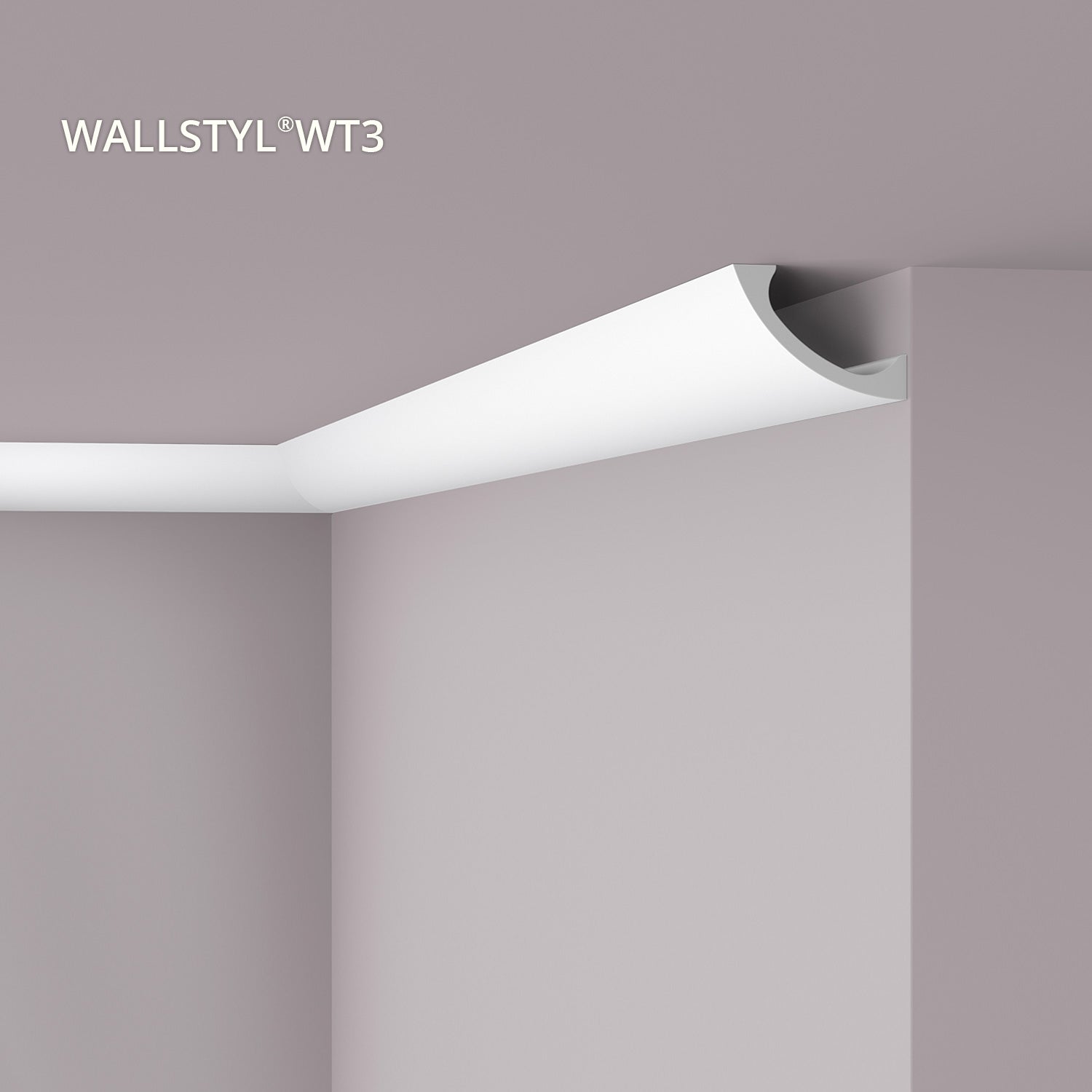 Corniche NMC WT3 WALLSTYL Noel Marquet Moulure décorative Corniche de plafond Éclairage indirect design intemporel classique blanc 2 m - 0