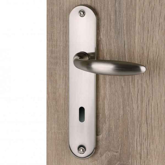 2 poignées de porte sur plaque CHAMBON, Entrée de clé pour chambre, Finition aluminium nickel mat, Entraxe standard 195 mm