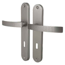 2 poignées de porte sur plaque AUDACE, Entrée de clé pour chambre, Finition aluminium nickel mat, Entraxe standard 195 mm