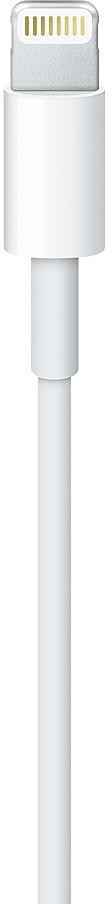 Apple Lightning to USB Cable (0.5 m)